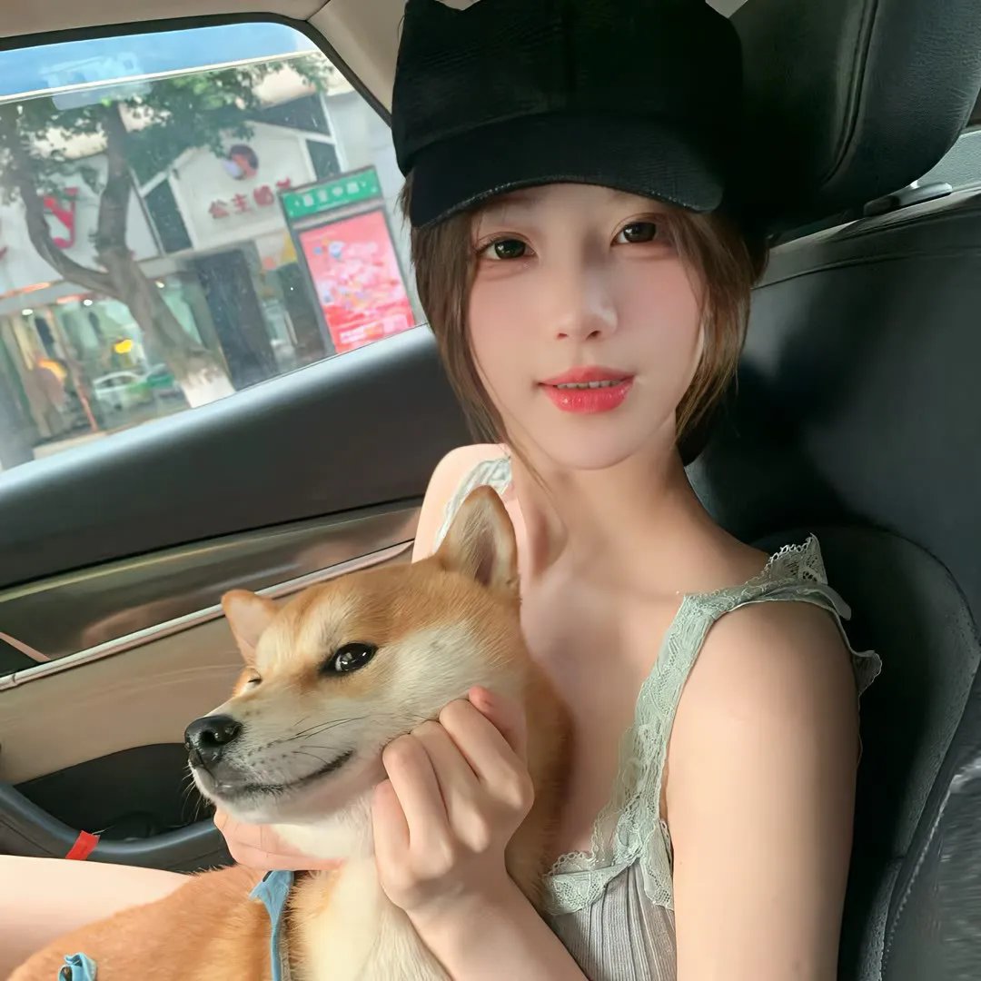 龙凤春光 海报